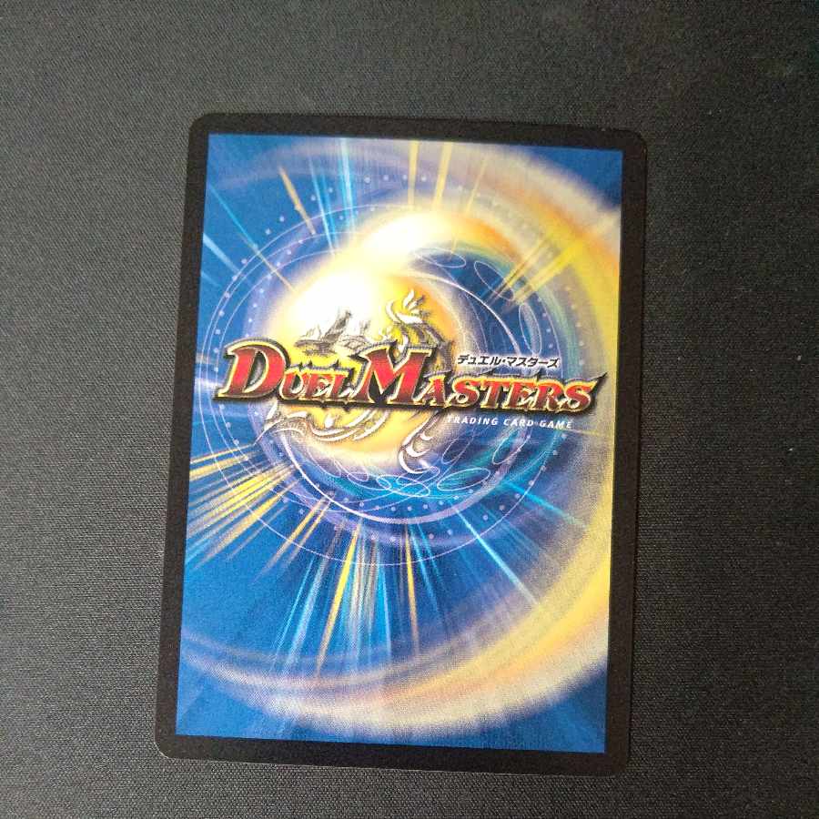 Proten! Ginga MAX R 24/95