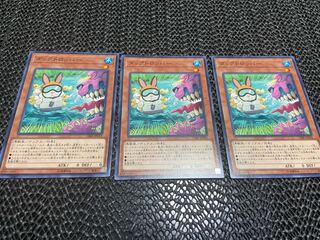 【TAKUMI】ダックドロッパー ノーマル 3枚　あ-650