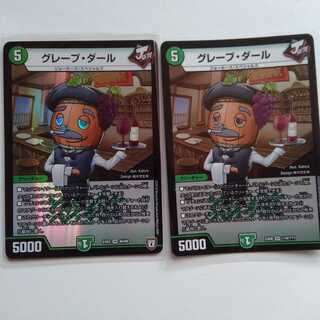 グレープダール　2枚セット