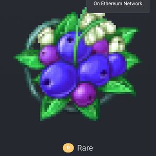 ウィズダムブルーベリーlv80