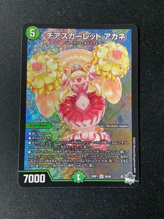 チアスカーレット アカネ SR S8/S8