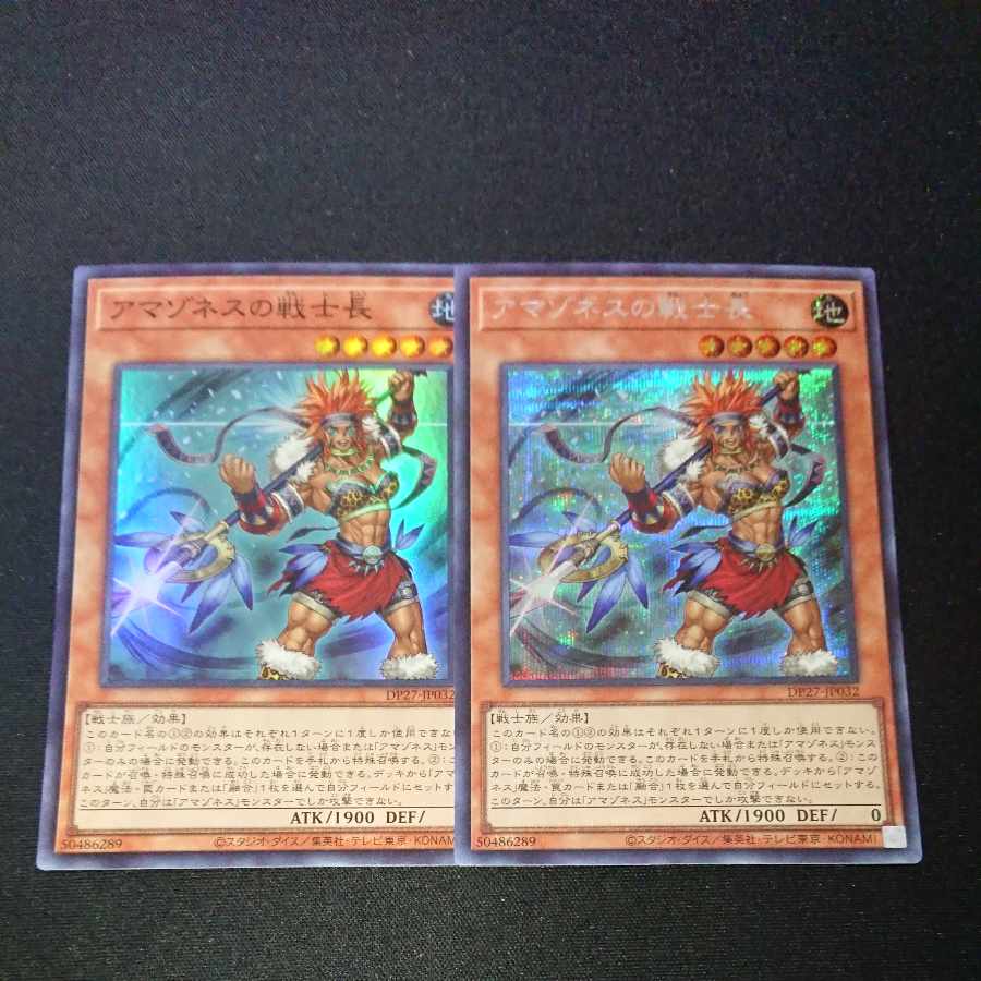 CST113 Warrior Chief of Amazones 1 SR, 1 SE