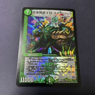 武家類武士目 ステージュラ VR