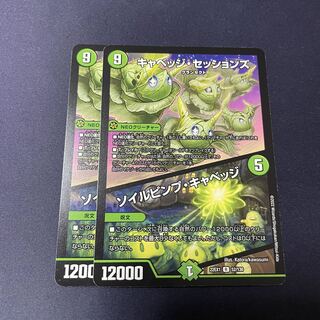 キャベッジ・セッションズ｜ソイルピンプ・キャベッジ R 52/130