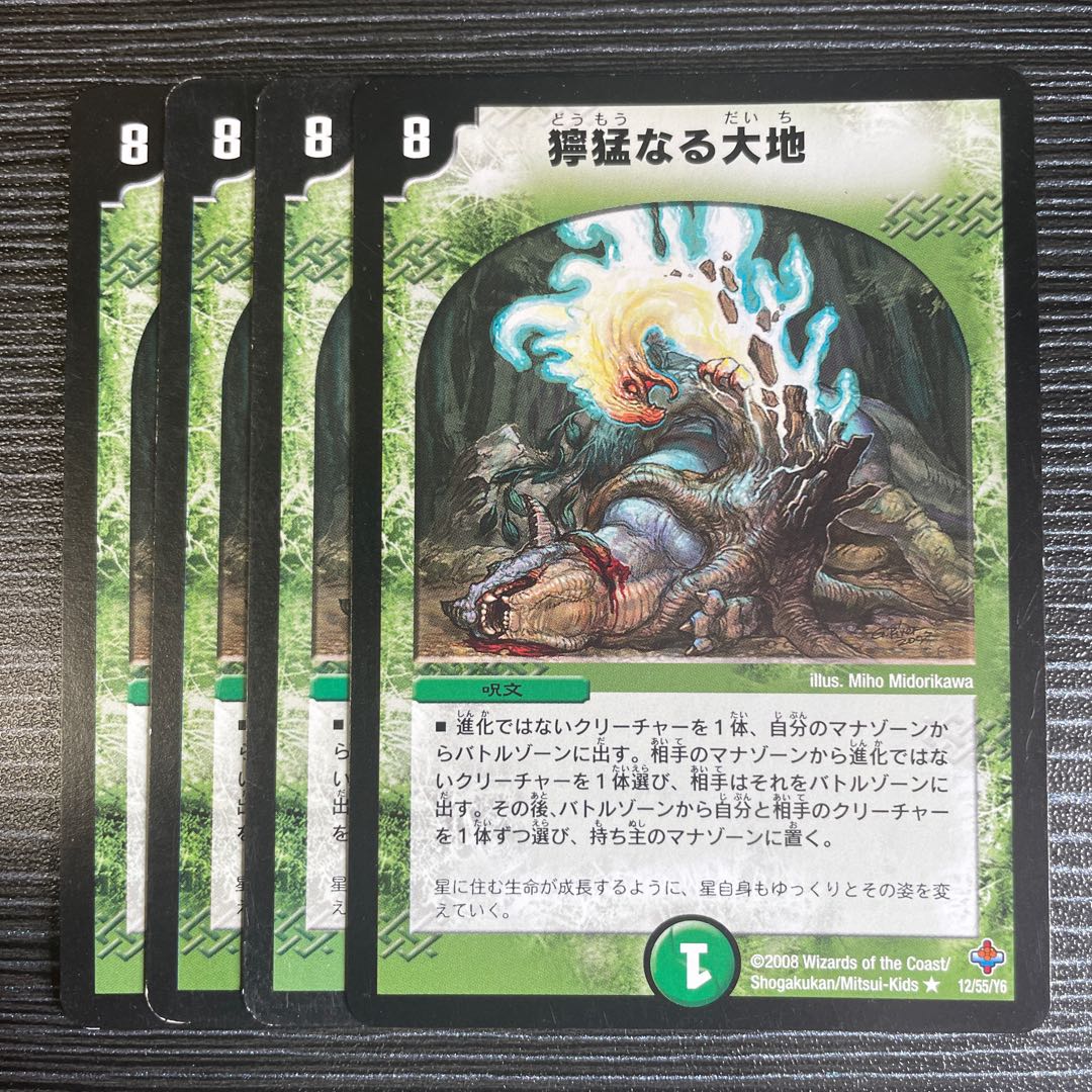 獰猛なる大地 R 12/55/Y6