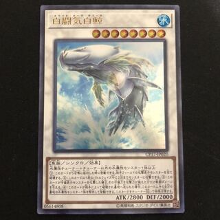 白闘気白鯨　ウルトラ　1枚