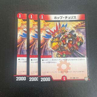 ホップ・チュリス C 55/84