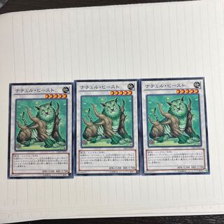 ナチュル・ビースト ノーマル JP010 1枚