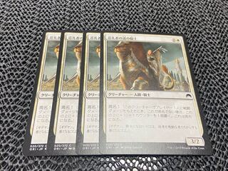 巡礼者の道の騎士