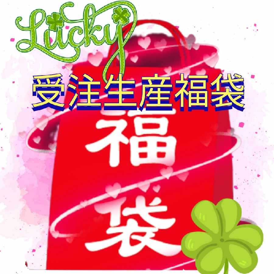 受注生産福袋〜ポケカ福袋〜メロ寝様専用袋