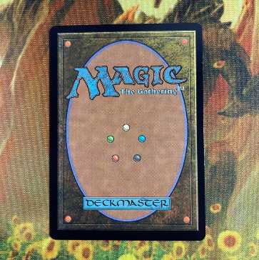 MTG 森の知恵　foil 日本語 1枚