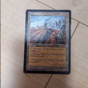 MTG 不毛の大地　１枚 1枚