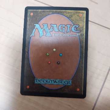 MTG 不毛の大地　１枚 1枚