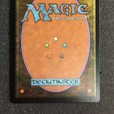 血染めのぬかるみ 日本語版　mtg 1枚