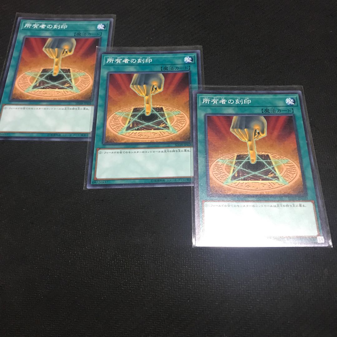 Owner's Seal Normal JP007