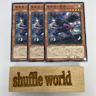 Spirit Bird - Shinigami Raven 359