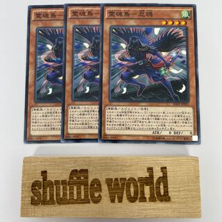 Spirit Bird - Shinigami Raven 360