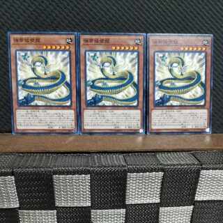 【ぽぽたん】遊戯王 #2276  弾帯城壁龍   ノーマル  ３枚