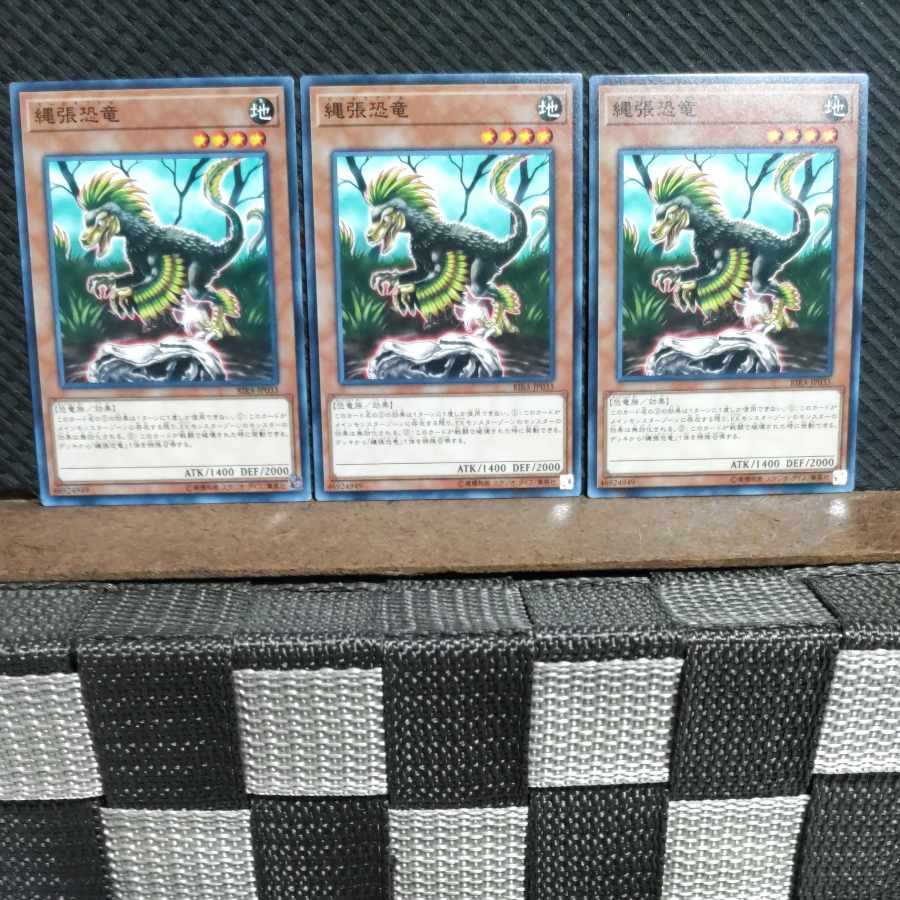 【ぽぽたん】遊戯王 3637 縄張恐竜 3枚 ノーマル