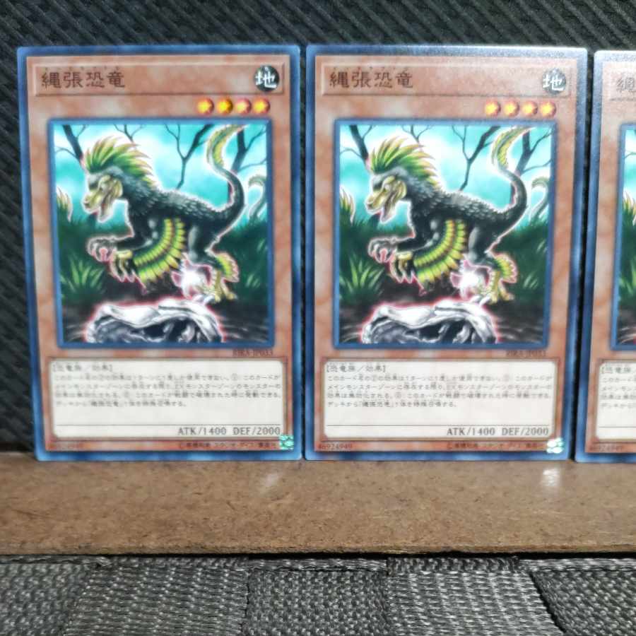 【ぽぽたん】遊戯王 3637 縄張恐竜 3枚 ノーマル