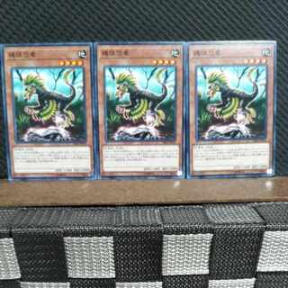 恐竜デッキパーツ　75枚セット 81cZ8GLjkwL._UF350,350_QL80_.jpg