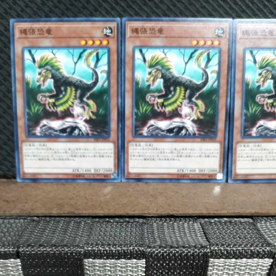 【ぽぽたん】遊戯王 3964 縄張恐竜 3枚 ノーマル