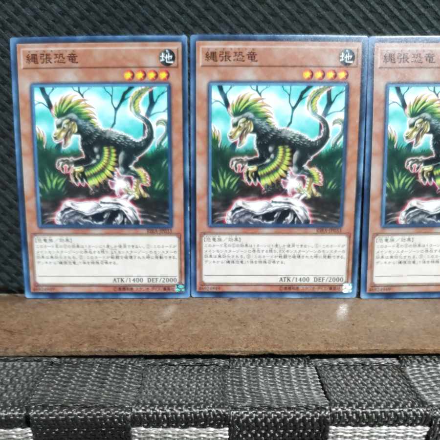 【ぽぽたん】遊戯王 3964 縄張恐竜 3枚 ノーマル