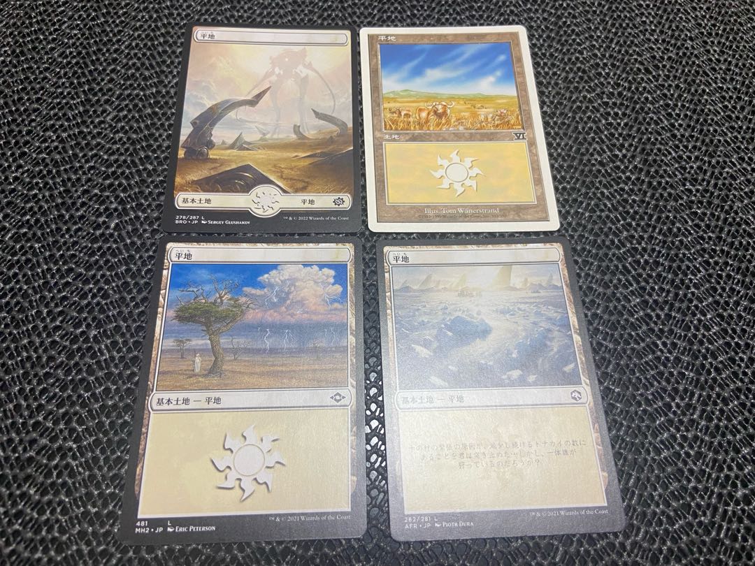 【TAKUMI】平地 4枚 う-33