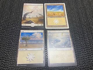 【TAKUMI】平地　4枚　う-33