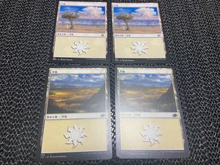 【TAKUMI】平地　4枚　う-37