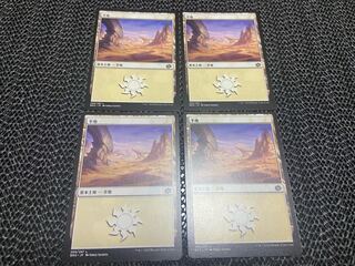 【TAKUMI】平地　4枚　う-39