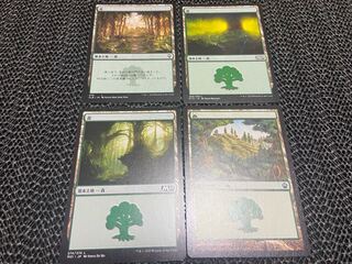 【TAKUMI】森　4枚　う-40