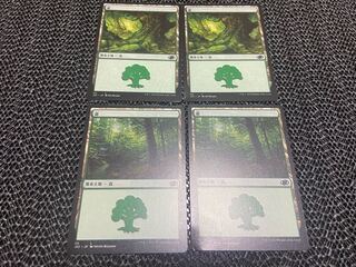 【TAKUMI】森　4枚　う-42