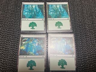 【TAKUMI】森　4枚　う-43