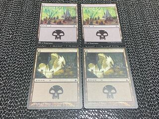 【TAKUMI】沼　4枚　う-44