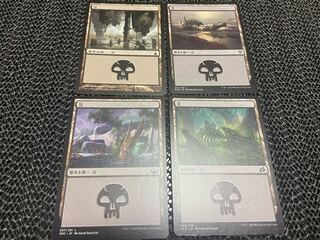 【TAKUMI】沼　4枚　う-45