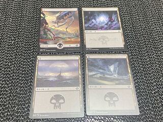 【TAKUMI】沼　4枚　う-46