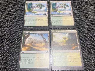 【TAKUMI】花咲く砂地　4枚　う-50