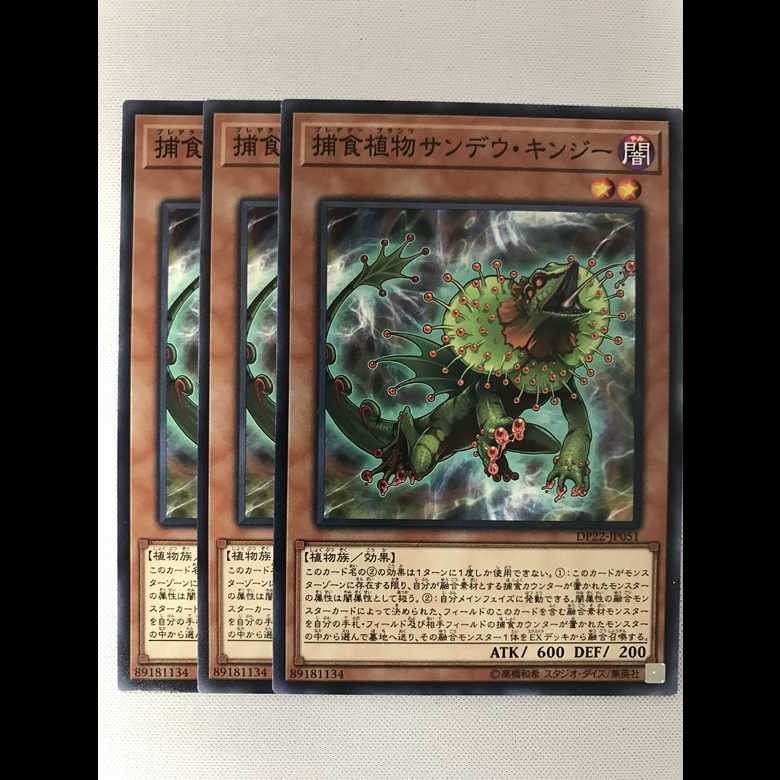 捕食植物サンデウキンジー 3枚