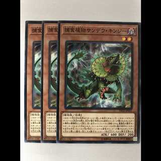 捕食植物サンデウキンジー 3枚