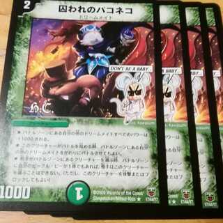 囚われのパコネコ　４枚