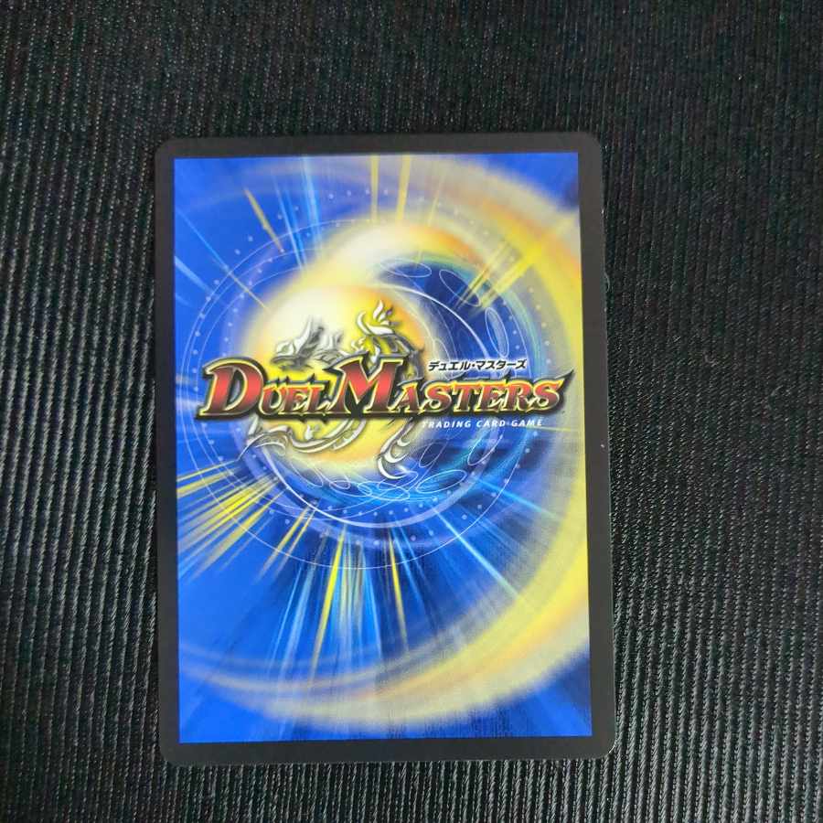 ブレイン・スラッシュ R 24/75