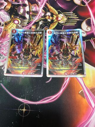 瞬閃と疾駆と双撃の決断