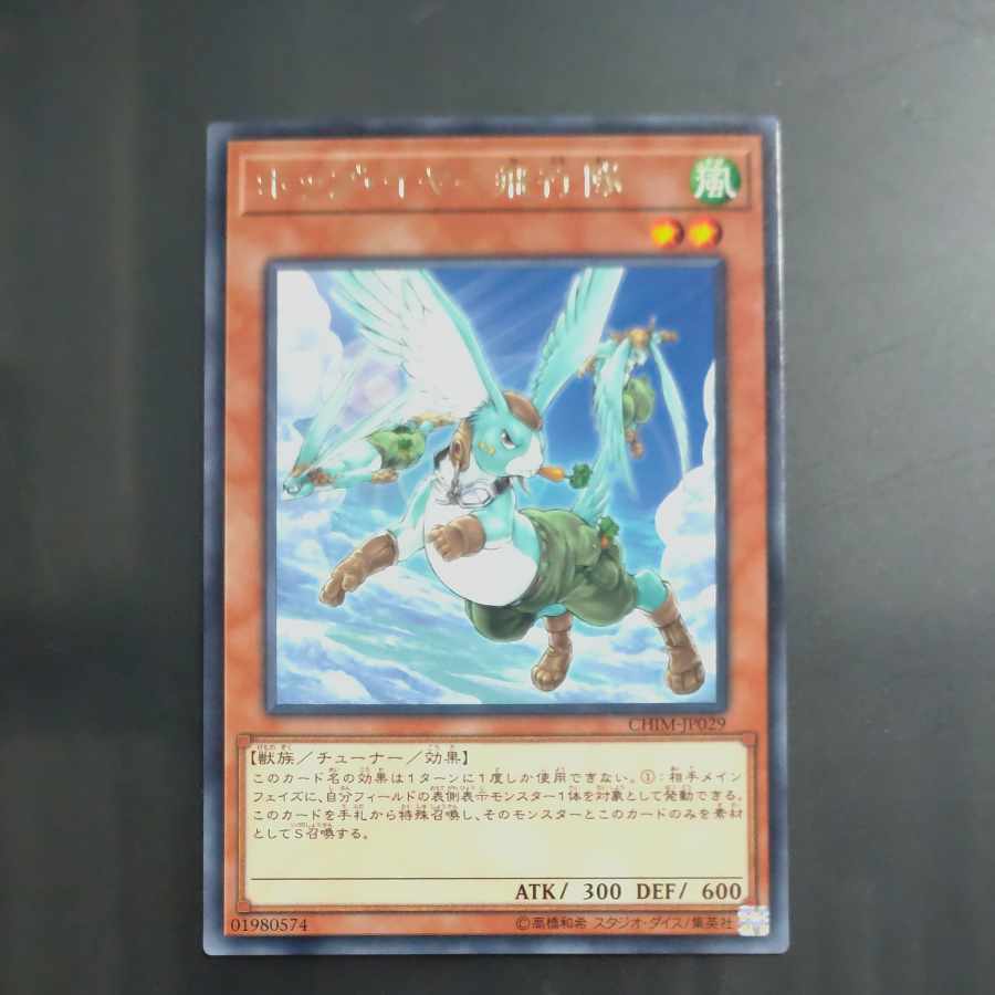 ホップ・イヤー飛行隊 レア JP029 【木林堂】