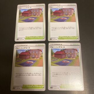 Training Court U 069/070