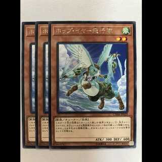 ホップイヤー飛行隊　3枚