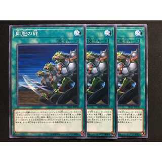 遊戯王 同胞の絆 3枚