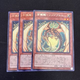 Hundred Apple Dragon - Ringo Blum Rare JP029 3 copies