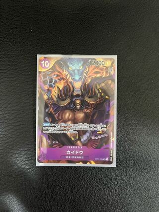 カイドウ　SR パラレル