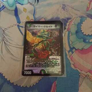 ライマードルイド